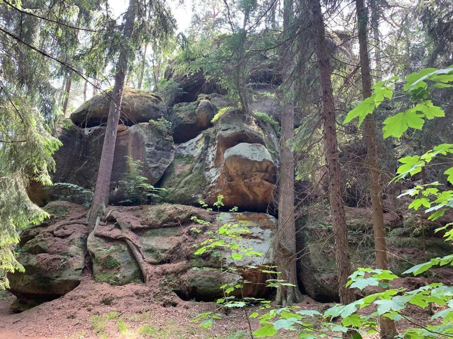 Waldferienhaus Dunja Mit Whirlpool, Sauna U Garten Hain  Exterior foto